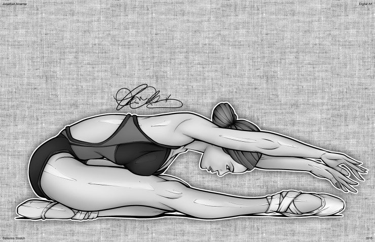 52 Ballerina Stretch Gradient 17x11