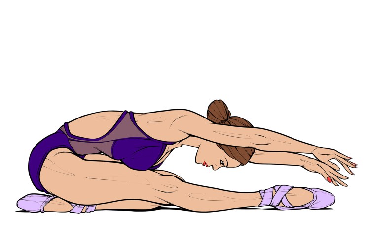 85 Ballerina Stretch Flat